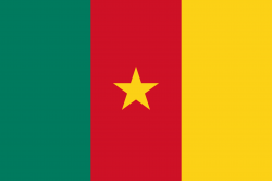 Flag_of_Cameroon.svg