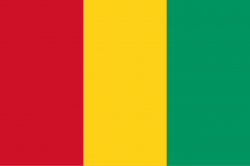Flag_of_Guinea.svg