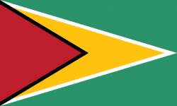 Flag_of_Guyana.svg