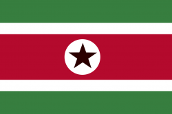 Surinam_Pinas_2